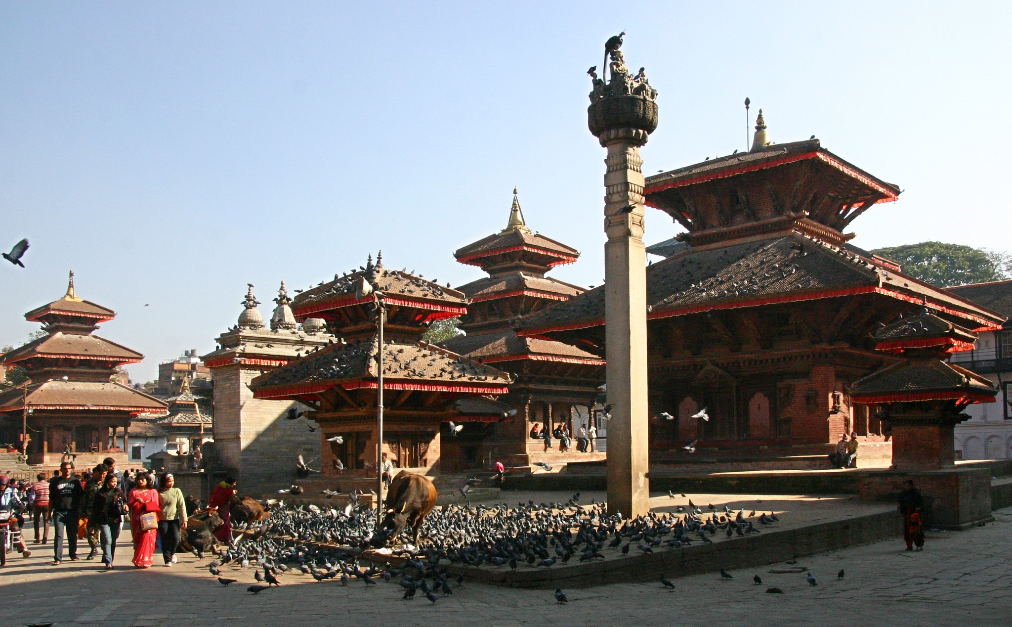 Nepal Travel and Tour 