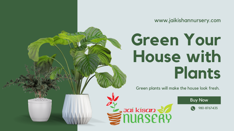 Jai Kishan Nursery 