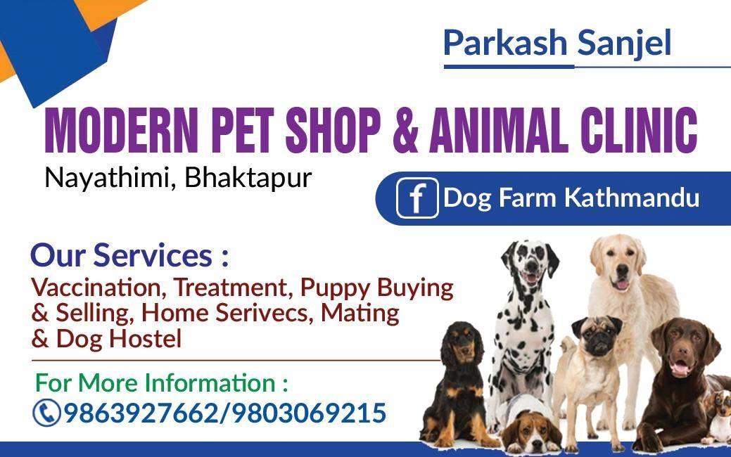 Modern Pet Shop & Animal clinic 