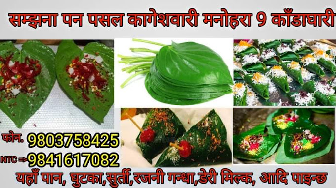 Samjhana Paan Pasal