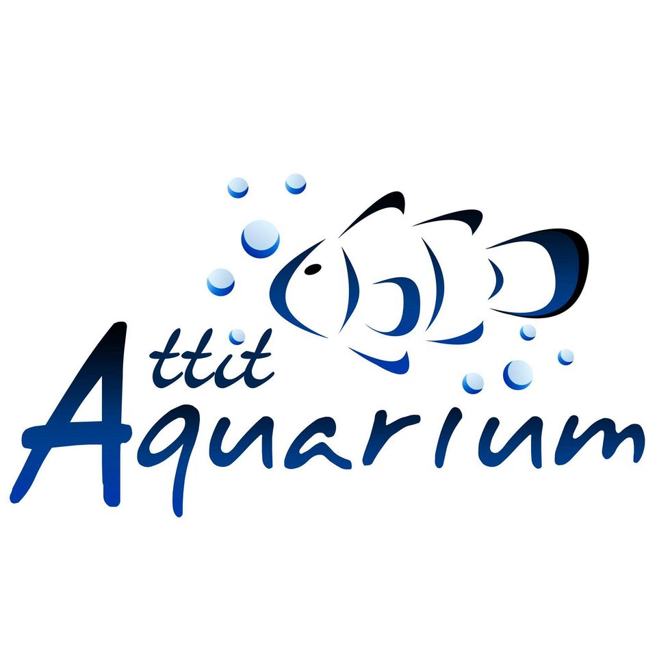 Attit aquarium & Hookha shop