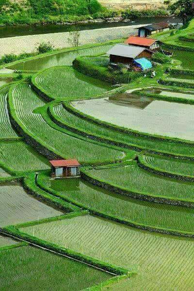 Travel in Nepal