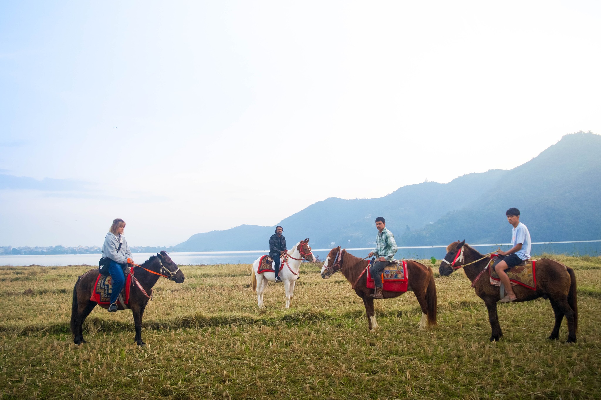Pony Farm Pokhara 