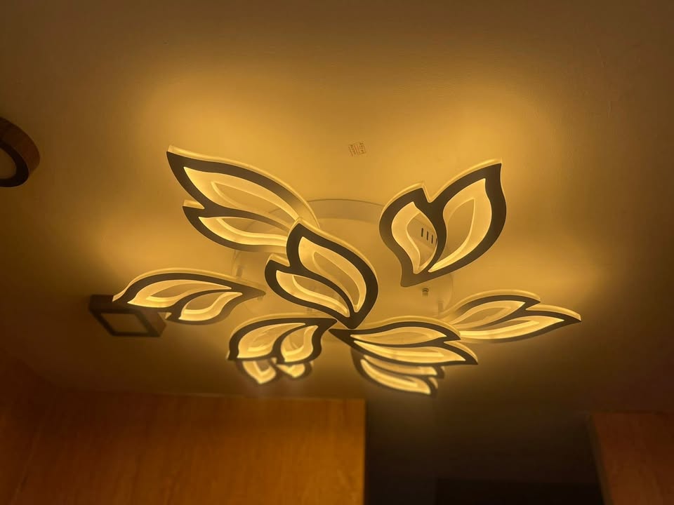 RR Interior Pvt.Ltd. 