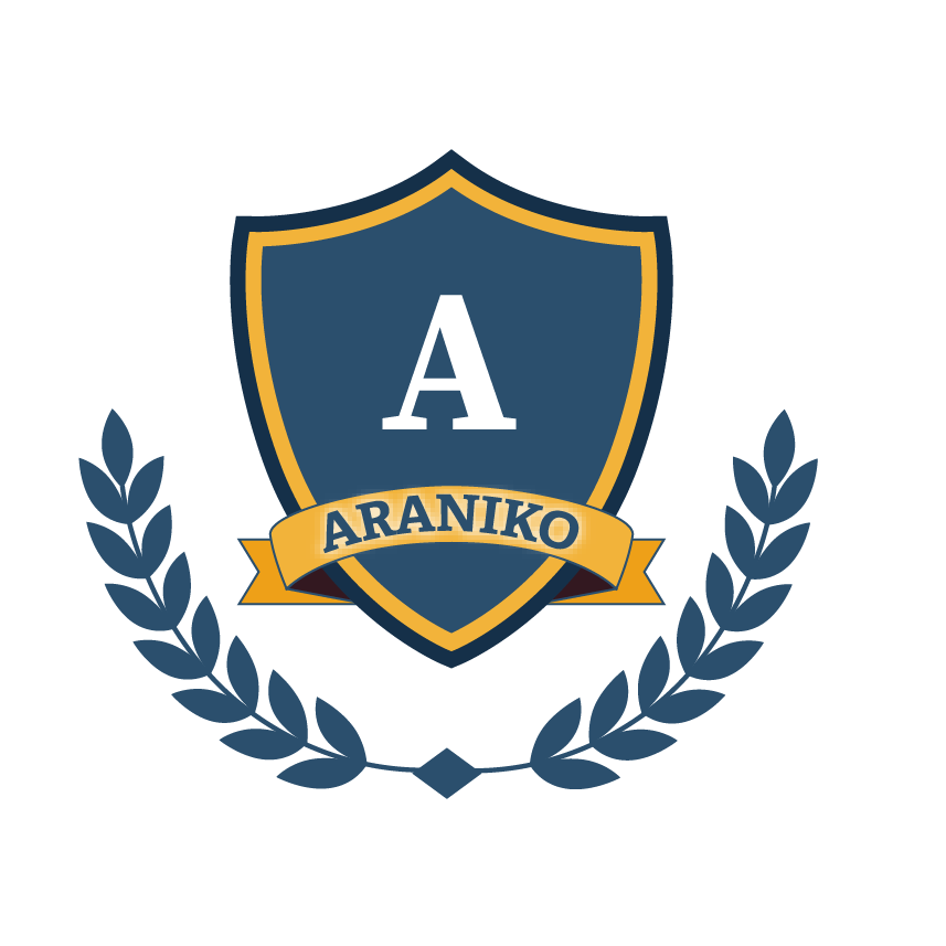Araniko College
