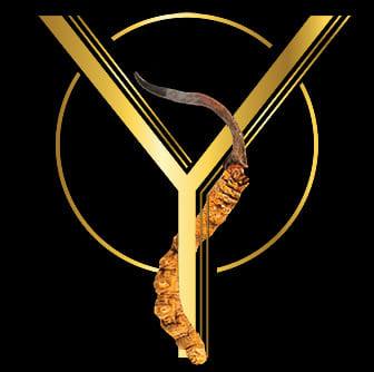 Yarchagumba Beverage