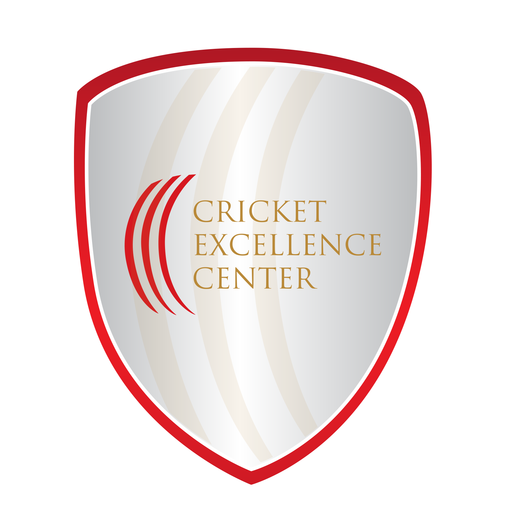 Cricket Excellence Center   