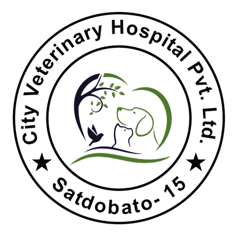 City Veterinary Hospital Pvt. Ltd. 