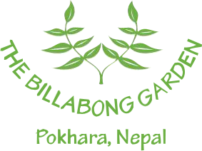 Hotel Billabong Garden 