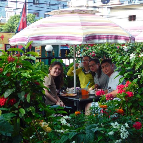 Harvest Moon Guest House 