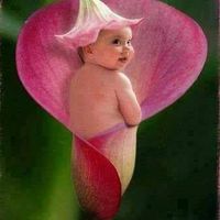 Bhaktapur real estate 