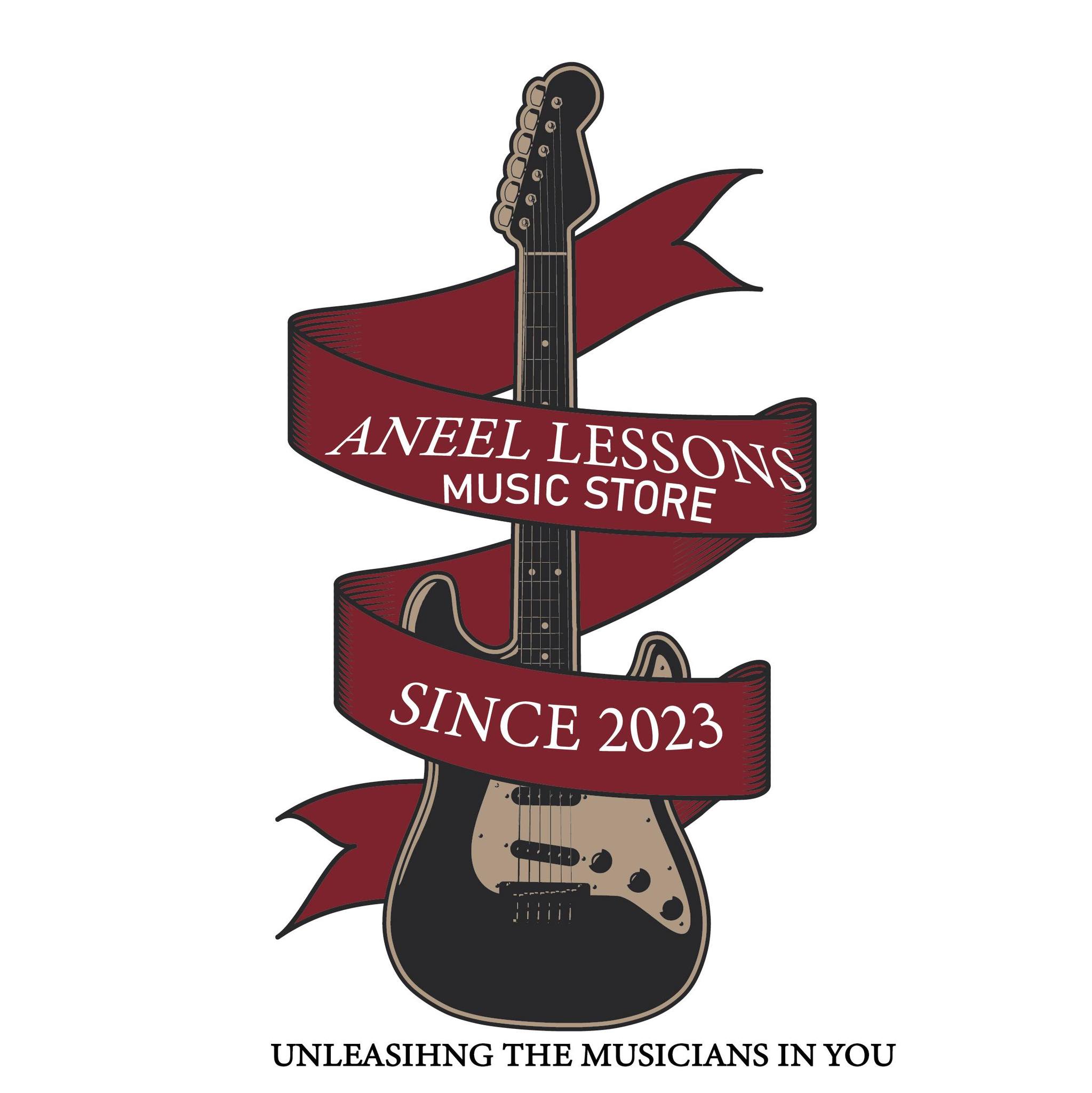 Aneel Lessons Music Store 