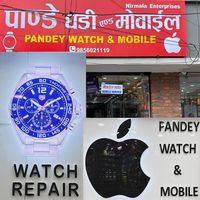 Pandey Ghadi & Mobile centre