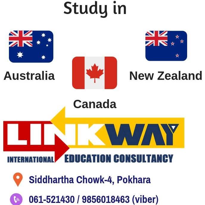Link Way International Education